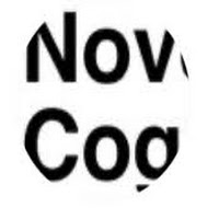 Novel Cognition